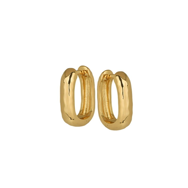 Brincos Argola em Prata Dourada