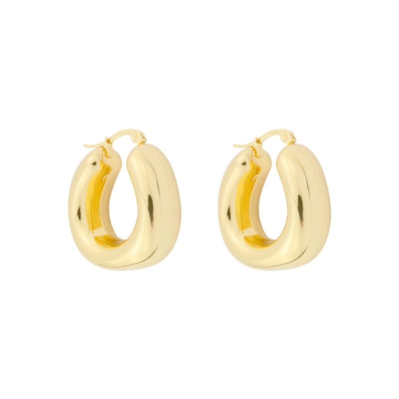 Brincos Argola em Aço Dourado