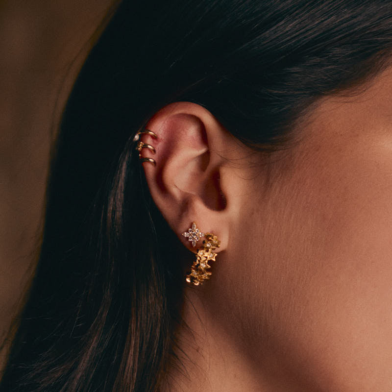 Brincos Flor Brilhantes em Prata Dourada