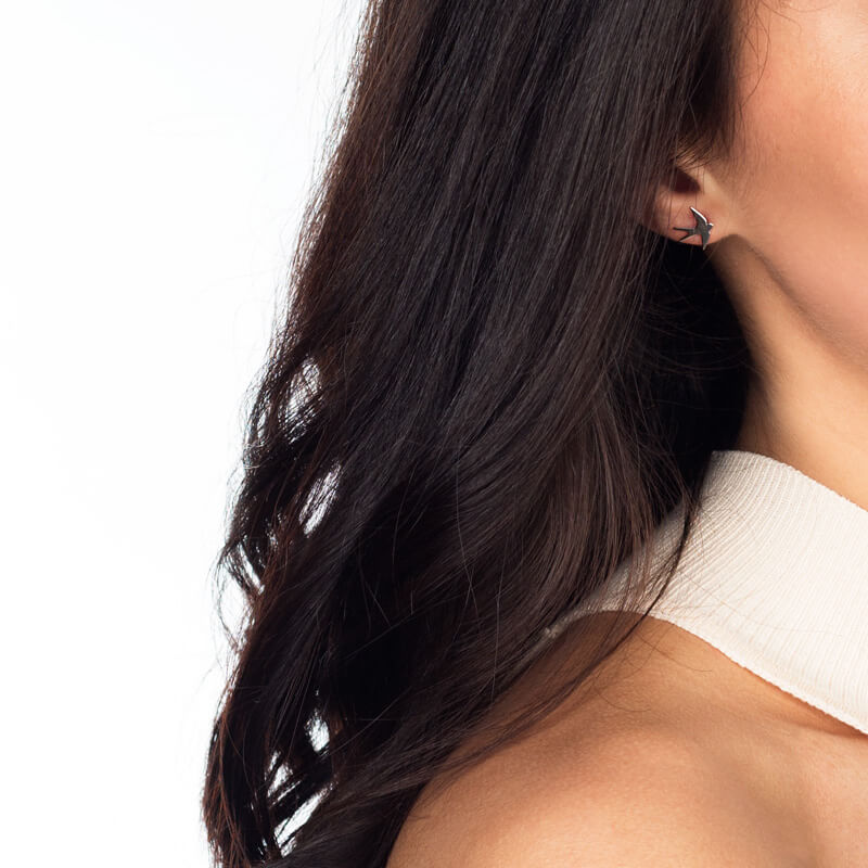 Brincos Andorinha prateados