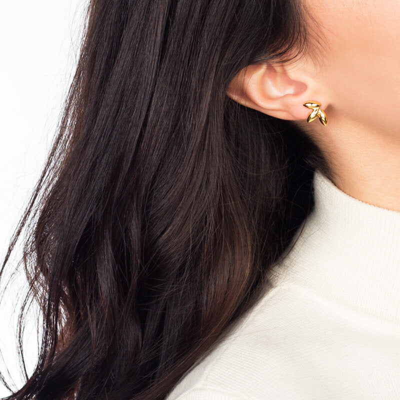 Brincos Bagos grandes dourados