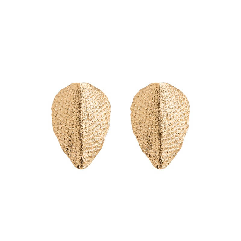 Brincos concha simétrica dourados