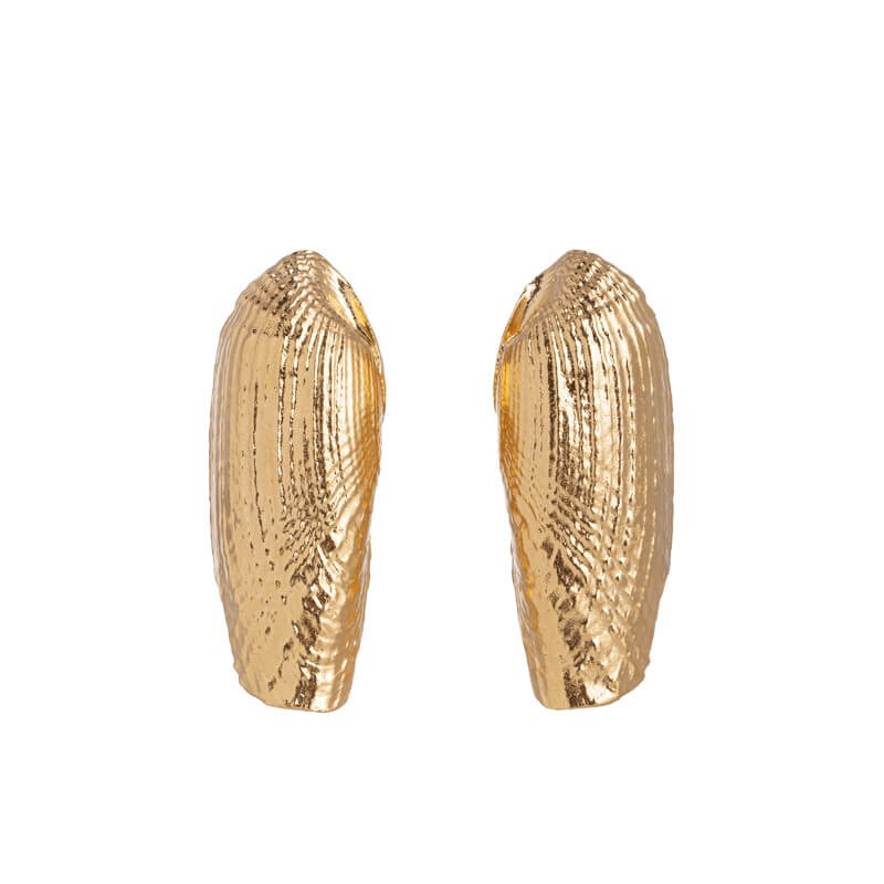 Brincos concha alongada grande dourados