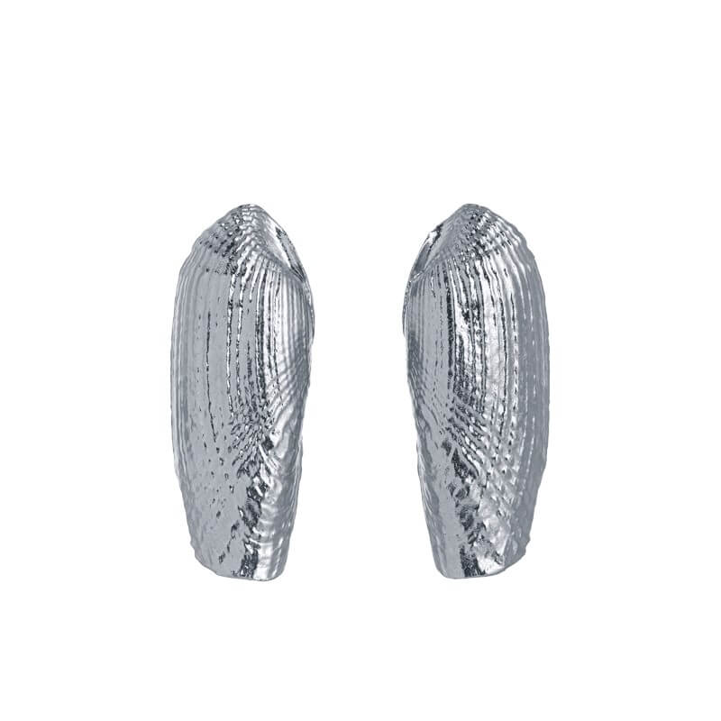 Brincos concha alongada grande prateados