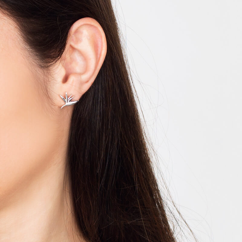 Brincos Estrelícia prateados