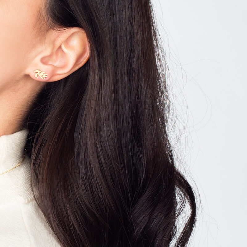 Brincos Folha de oliveira dourados