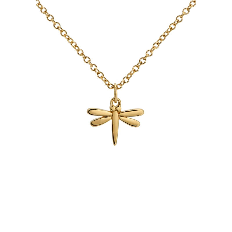 Colar Libelinha em Prata Dourada