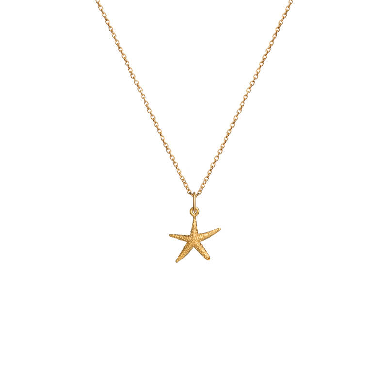 Colar Estrela-do-Mar dourado