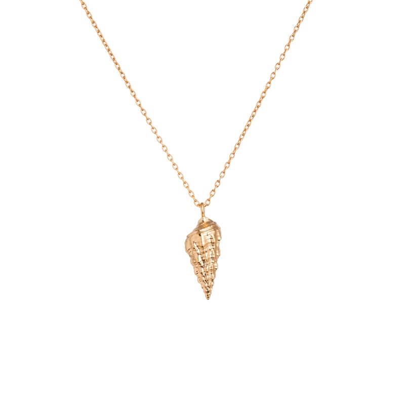 Colar búzio dourado