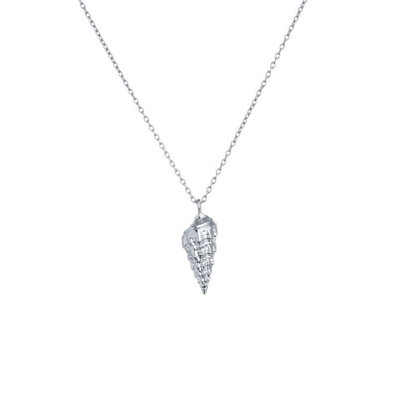 Colar búzio prateado