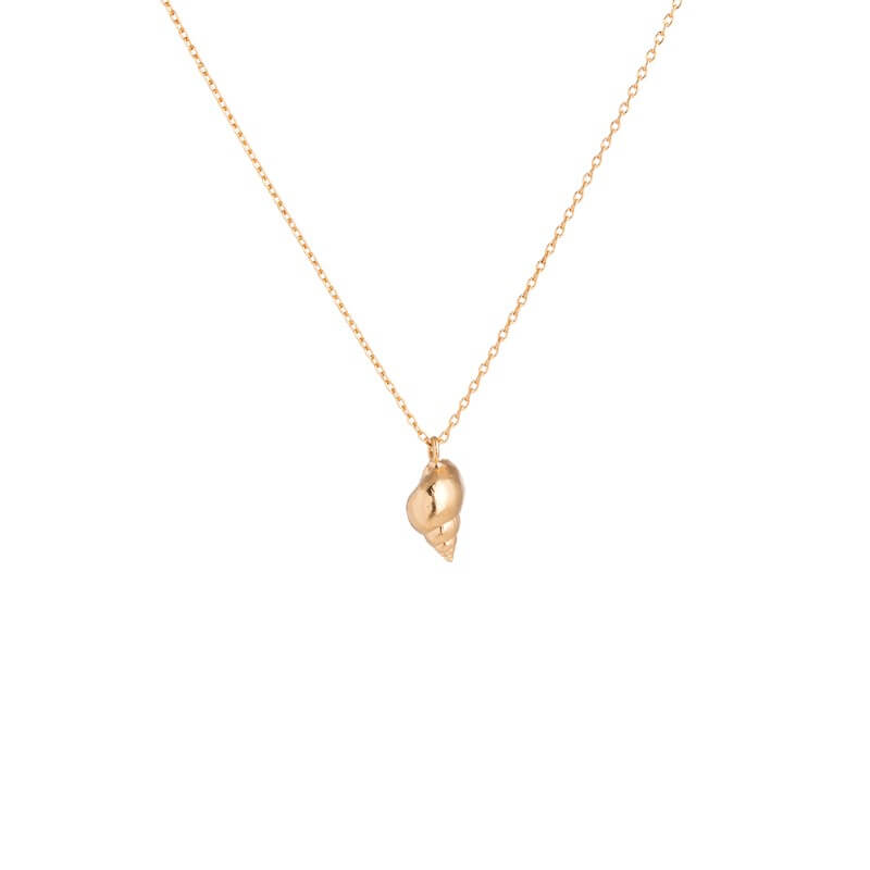 Colar caracol do mar dourado