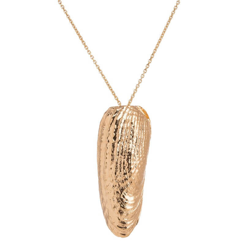 Colar concha alongada dourado