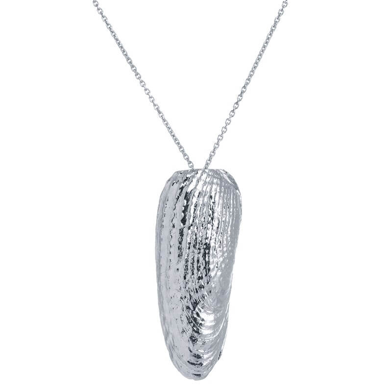 Colar concha alongada prateado