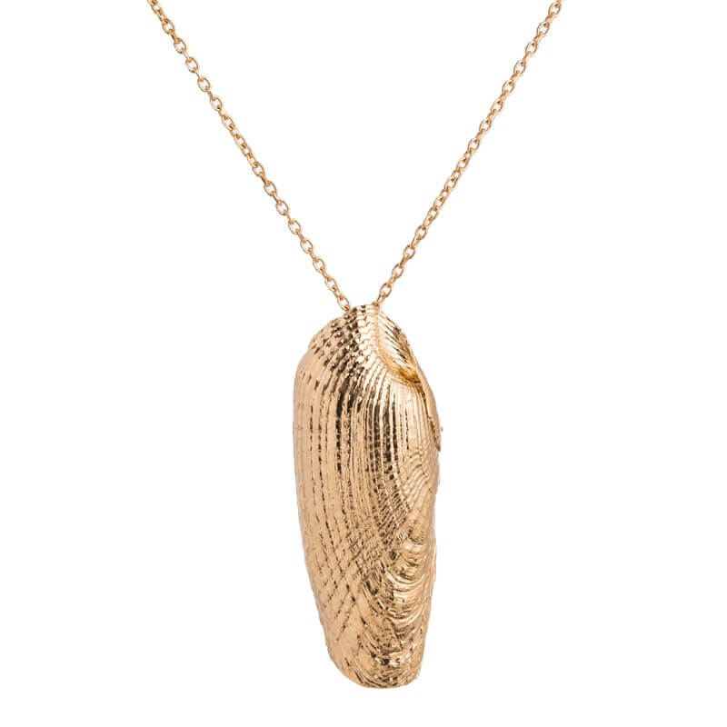 Colar concha alongada grande dourado