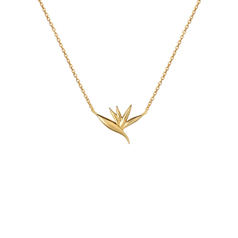 Colar Estrelícia dourado