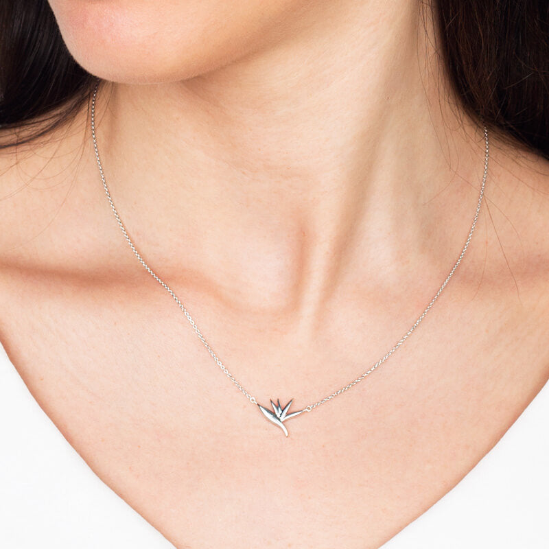 Colar Estrelícia dourado