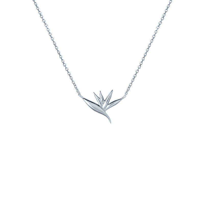 Colar Estrelícia prateado